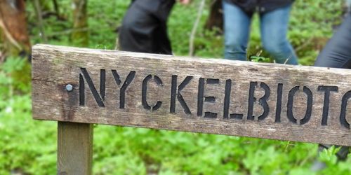 Förslag: Ingen registrering av biotoper vid avverkning