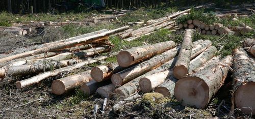 Därför är fastighetspriserna maxade