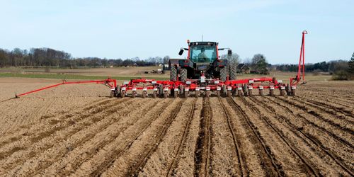 Hög insektsberedskap i betodlingen