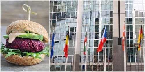 Utskott vill förbjuda vegoburgare