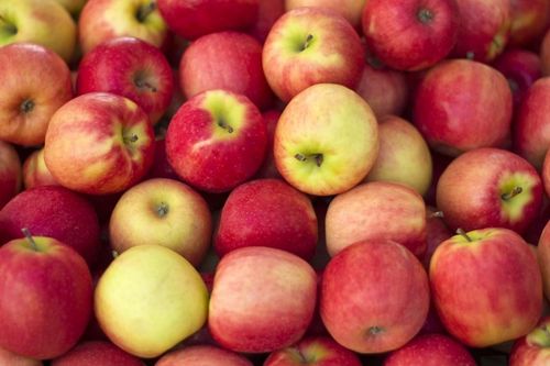 Danska konsumenter efterfrågar mer ekologiskt frukt och grönt, bland annat äpplen.