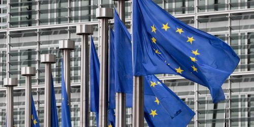 EU hotar det svenska skogsbruket