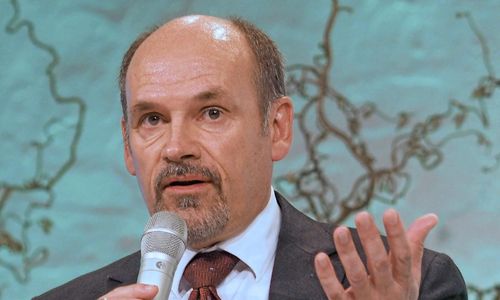 ”Köpa skog inte del av strategin”