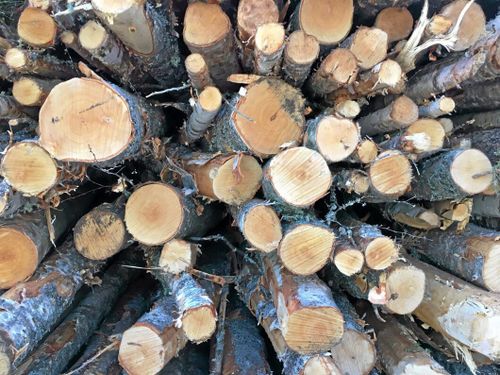 Allt svårare sälja lövvirket