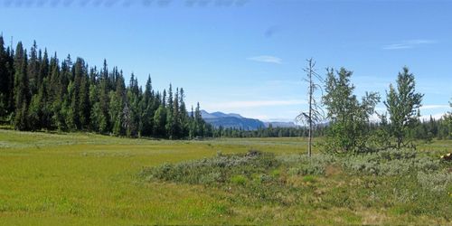 Nytt nej till folkomröstning i Vilhelmina