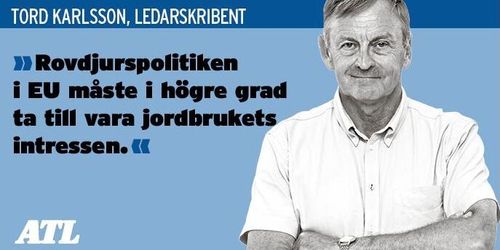 Se vargen i ett europeiskt perspektiv