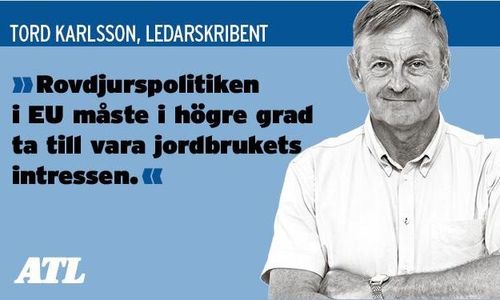 Se vargen i ett europeiskt perspektiv
