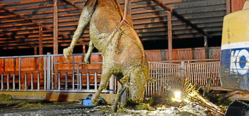 Se hur Internet räddas ur gödselbrunnen