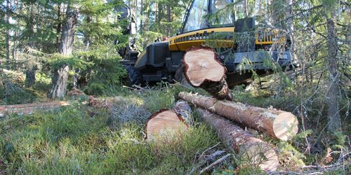 Efter strulet: LRF JO-anmäler myndigheterna
