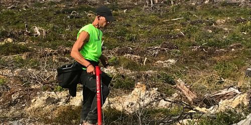 Han satte 21 000 plantor på ett dygn