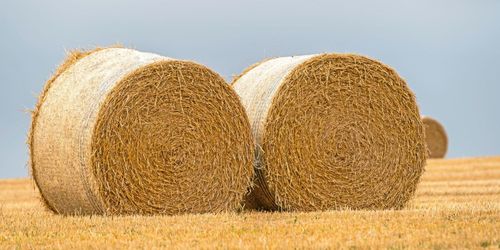 35 halmbalar stulna av tjuvar