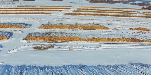 Ryska virkestullar kan styra om handeln