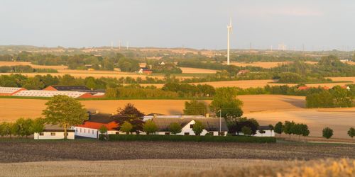 EU-stöd för skog på jordbruksmark