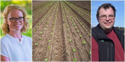 Stressig väntan på arbetskraft