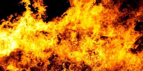 Våldsam brand dödade åtta hästar