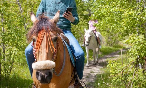 Mobilprat på hästrygg straffade sig
