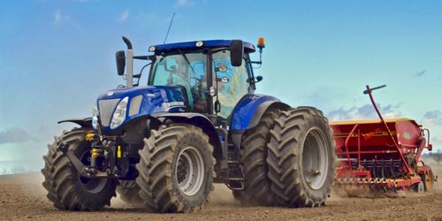 Utsädesbrist kan tvinga ekoodlare söka dispens