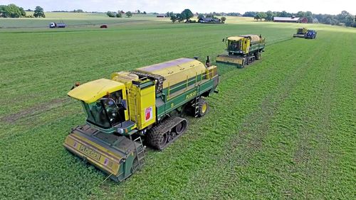 Findus vd: Satsa på högförädlat