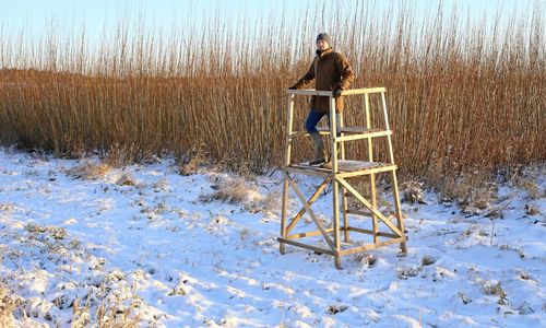 Klimatet kan bli ny affärsidé för salixodlare