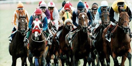 Missbildade kotor får hästar att störta