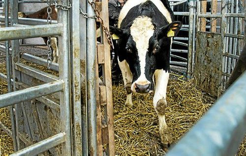 Forskarna ska bland annat studera hur stress kan minskas vid till exempel drivning.