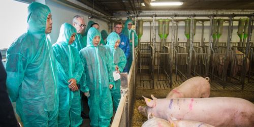 Avtalet med Kina klart men underskrift saknas