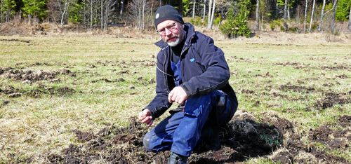 Vildsvinen kostar honom 100 000 om året