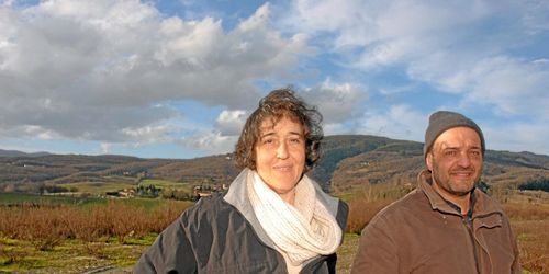 Vargexplosion i Italien drabbar bönder hårt