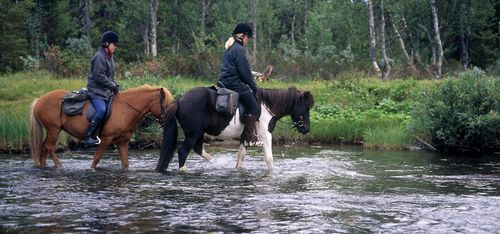 LRF: Ingen anledning till oro för markägare