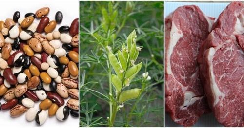 Motvind för många köttkopior