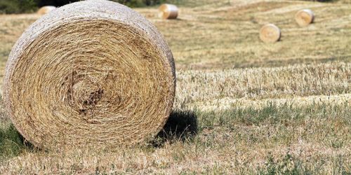 Enklare frakta foder på färja