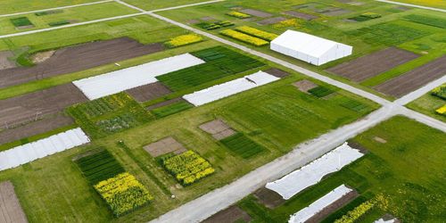Så blir årets Borgeby: ”Lite av en VIP-dag”