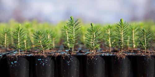 Södra miljonsatsar på forskning