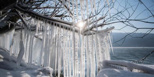 Jordbruket satte stopp för istiden