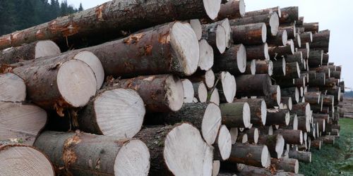 Mellanskog ändrar virkespriserna