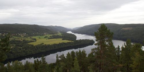 SCA ökar avverkningen