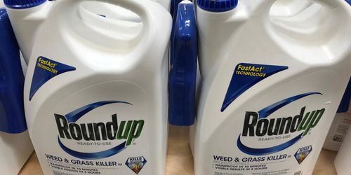 Bayer avsätter miljarder till förlikningar om Roundup