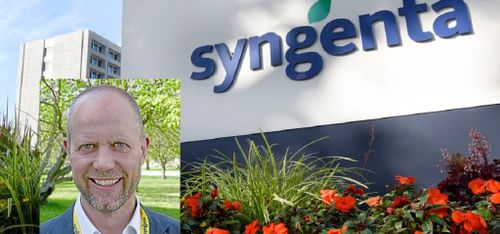 Tuffare regler kan sänka svenska spannmålsskördar