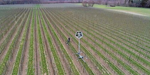 ATL TV: Jättefläkt skyddar äppelodlingen