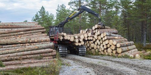 Avverkningen mot högsta nivån sedan 2007