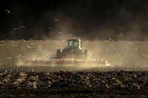 Allt färre söker sig till gröna jobb som jordbruk och djurskötsel.