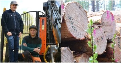 Virkesmärkning på skotaren ger vinster