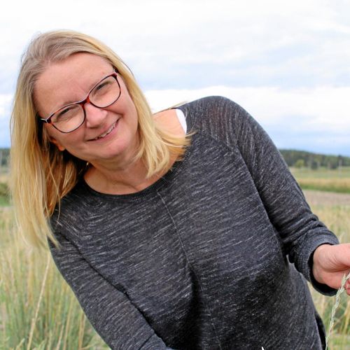 Flerårigt spannmål klarar torkan