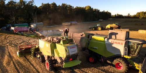 Svår expansion med krävande utsädesodling