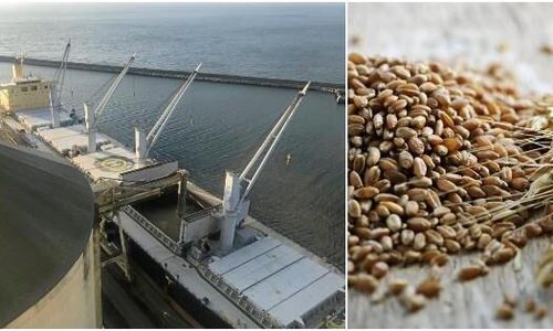 Större spannmålsexport än på flera år