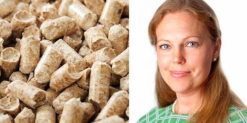 ”Behövs mer bioenergi i omställningen”