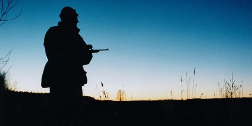 Civil rättighet att överklaga skyddsjakt