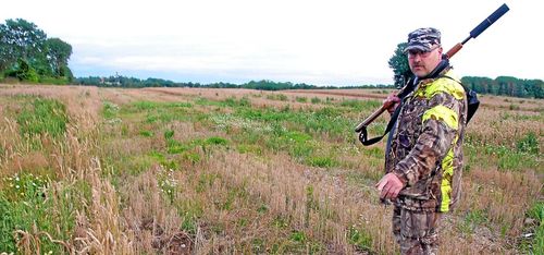Ständigt på jakt efter svin