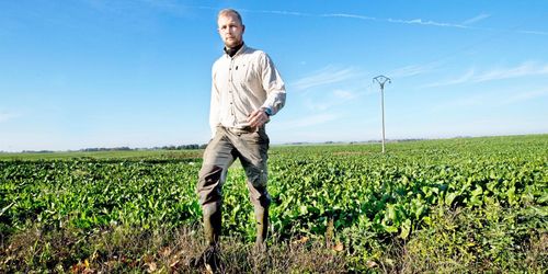 Miljoner i intäktstapp för storföretaget