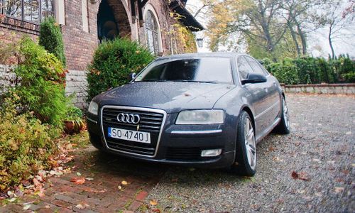 Bränsletörstiga bilar stiger i pris